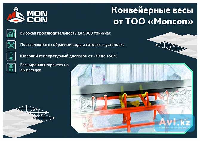 Конвейерные весы от производителя Костанай - изображение 1