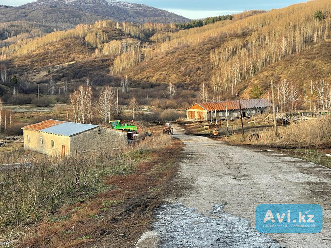 Продаётся действующее крестьянское хозяйство в пригороде г. Риддер Вко Риддер - изображение 1