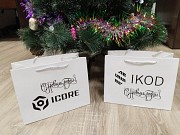 Новогодние пакеты с лого для корпоративных клиентов Алматы