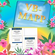 VB mapp и ablls-r руководство и протокол Алматы