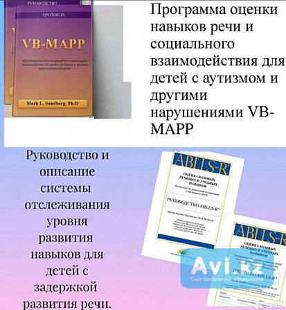 VB mapp и ablls-r руководство и протокол Алматы - изображение 1