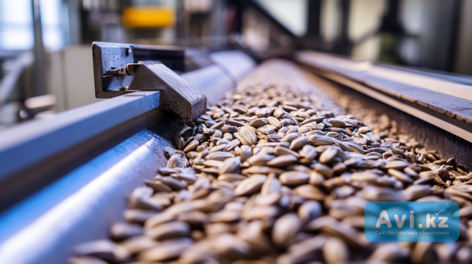 Семечки полосатые оптом в наличии, импортные Китай Алматы - изображение 1