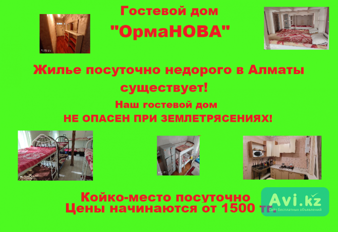 Проживание В Алматы Алматы - изображение 1