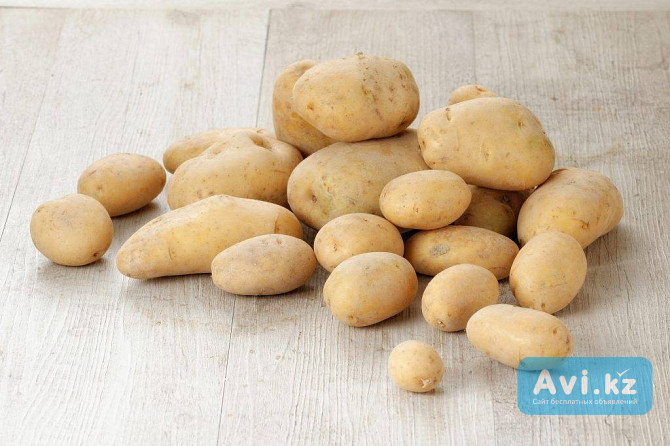 Семенной картофель из Беларуси. Картофель Бриз Астана - изображение 1