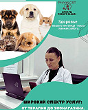 Provet Clinic в Алматы: Все для здоровья вашего питомца Алматы
