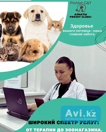 Provet Clinic в Алматы: Все для здоровья вашего питомца Алматы - изображение 1