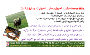 ركوب الخيول و حليب الخيول (ساومال) في ألماتي – Horse Hills Алматы