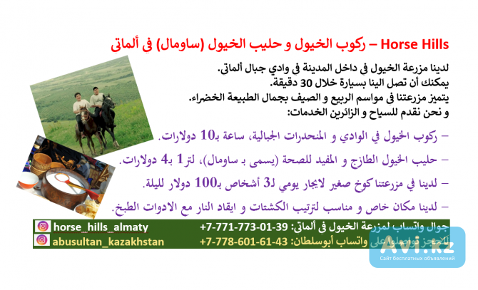 ركوب الخيول و حليب الخيول (ساومال) في ألماتي – Horse Hills Алматы - изображение 1