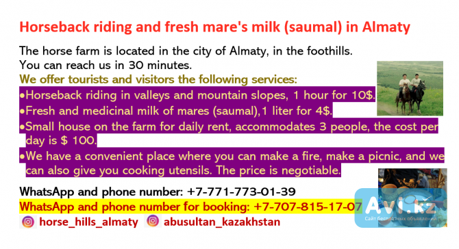 Horseback riding and fresh mare's milk (saumal) in Almaty Алматы - изображение 1