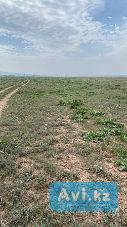 Продам землю сельхозназначения Тараз - изображение 1