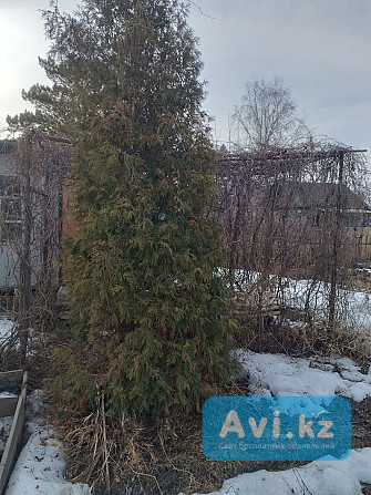 Продам землю под садоводство Петропавловск - изображение 1