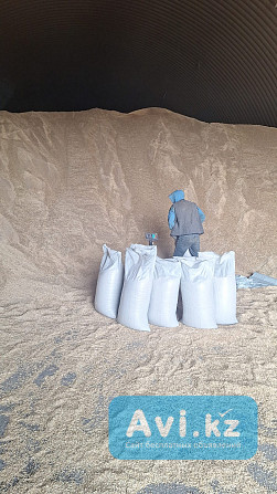 Зерно в мешках, Отруби, Овес, Ячмень, Сечка, Мука второй сорт Караганда - изображение 1