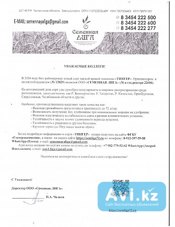 Компания «семенная Лига» предлагает семена оригинальных, элитных и репродукционных культур Другой город России - изображение 1