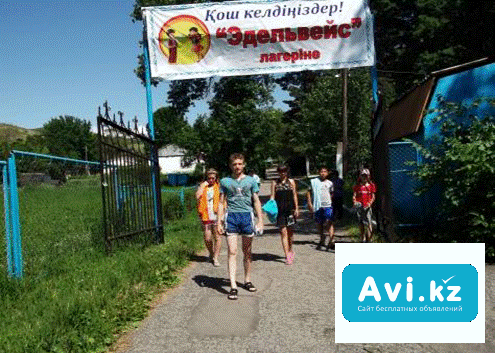Детский оздоровительный лагерь Эдельвейс ( Текели ) Талдыкорган - изображение 1