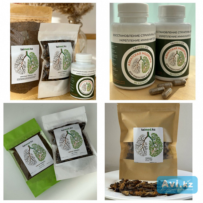 Самая эффективная Азиатская и Тайская медведка (сертификат) Алматы - изображение 1