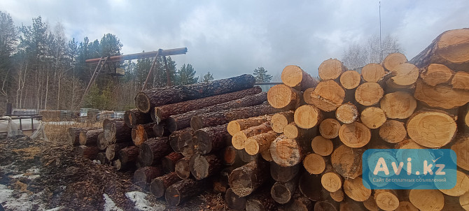 Продажа лиственницы и сосны За границей - изображение 1