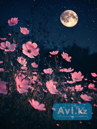 Ясновидящая Павлодар - изображение 1