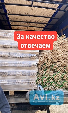 Неубиваемые черенки для лопат, граблей, шваброптом от производителя Павлодар - изображение 1