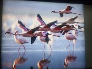 Экскурсия Боровое, Бурабай, Карлаг, Коргалжин Астана