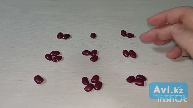 Гадание НА Кумалак Астана - изображение 1