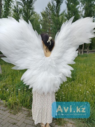 Крылья в аренду Астана Астана - изображение 1