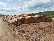 Вагонка, террасная доска, доска пола, имитация бруса, планкен. Доставка в Казахстан Алматы