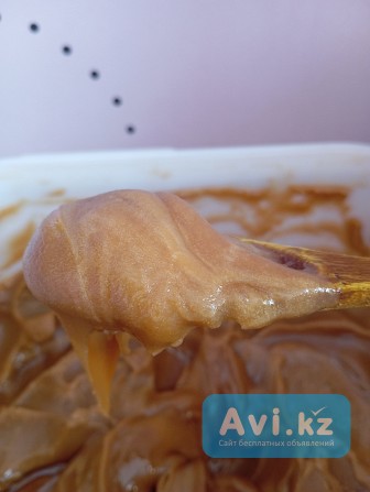 Натуральный мёд Алматы - изображение 1