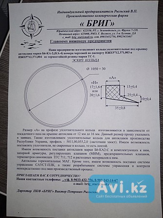 Кольца уплотнительные для автоклавов марки Б6-ка2 (ка4) и автоклавов марки АВ Москва - изображение 1