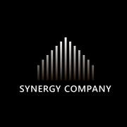 Synergy Company* - Надежный консалтинг по готовым компаниям-тоо Астана