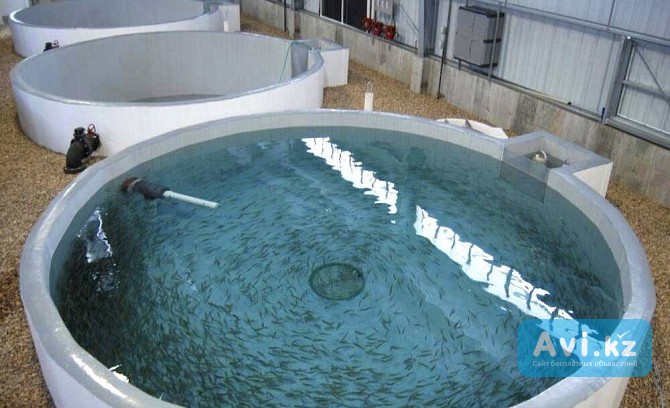 Поменяю емкости из полимер-композитов на Спецтехнику Усть-Каменогорск - изображение 1