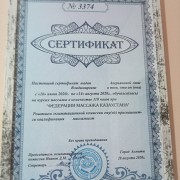 Профессиональный Массаж! Мед образование Алматы