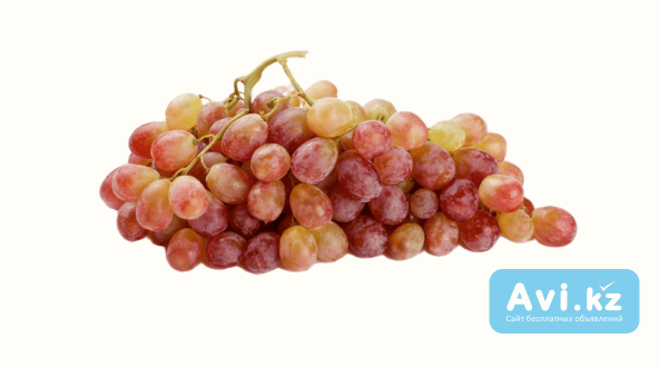 Тайпи (жаздық) жүзім Туркестанская область - изображение 1
