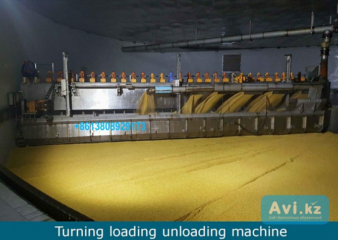 Оборудование для производства солода солодовня Алматы - изображение 1