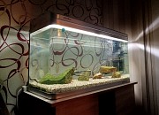 Аквариум б/у с рыбками Алматы