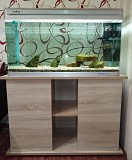 Аквариум б/у с рыбками Алматы