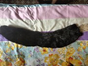 Воротник, норка, раритет, антаквариат Алматы