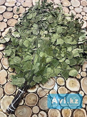 Веники для бани Костанай - изображение 1