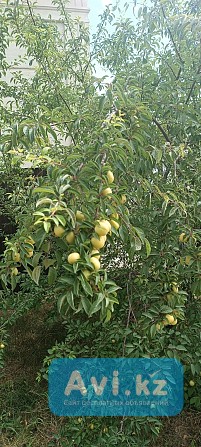 Продам загородный дом 120 кв.м на участке 10 соток Алматы - изображение 1