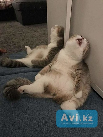 Делаю энергетические чистки и ритуалы на деньги, удачу, открытие дорог Алматы - изображение 1