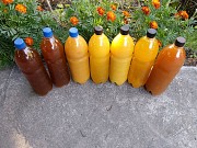 Мёд натуральный доставка из г.Усть-Каменогорск