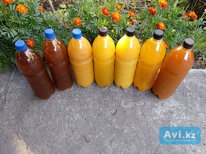 Мёд натуральный Усть-Каменогорск - изображение 1