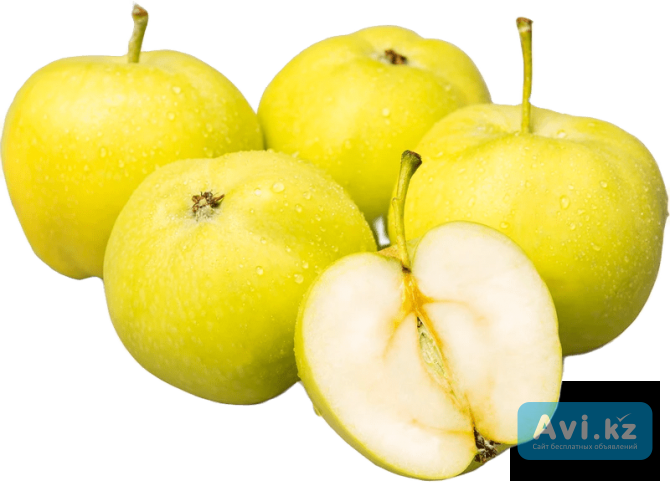 Belyi naliv Туркестанская область - изображение 1