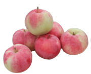 Borovinka Туркестанская область