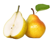 Дюшес Туркестанская область