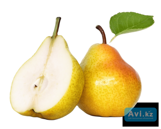 Дюшес Туркестанская область - изображение 1