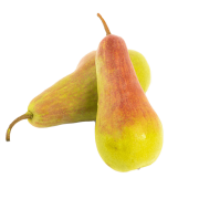 Талгарская красавица Туркестанская область