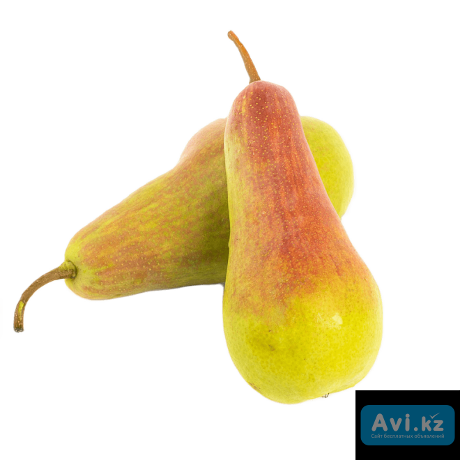 Талгарская красавица Туркестанская область - изображение 1