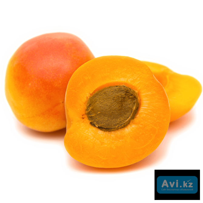 Краснощёкий абрикос Туркестанская область - изображение 1