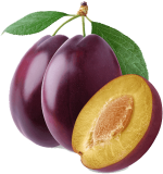 Слива колючая Туркестанская область