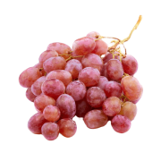 Тайпи (күздік) Туркестанская область